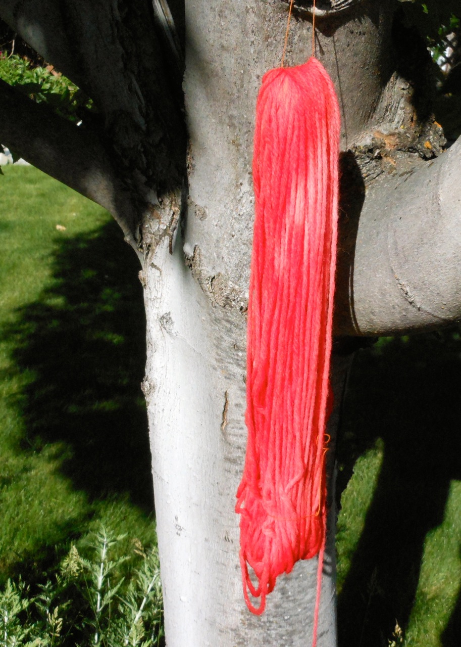 Salmon yarn