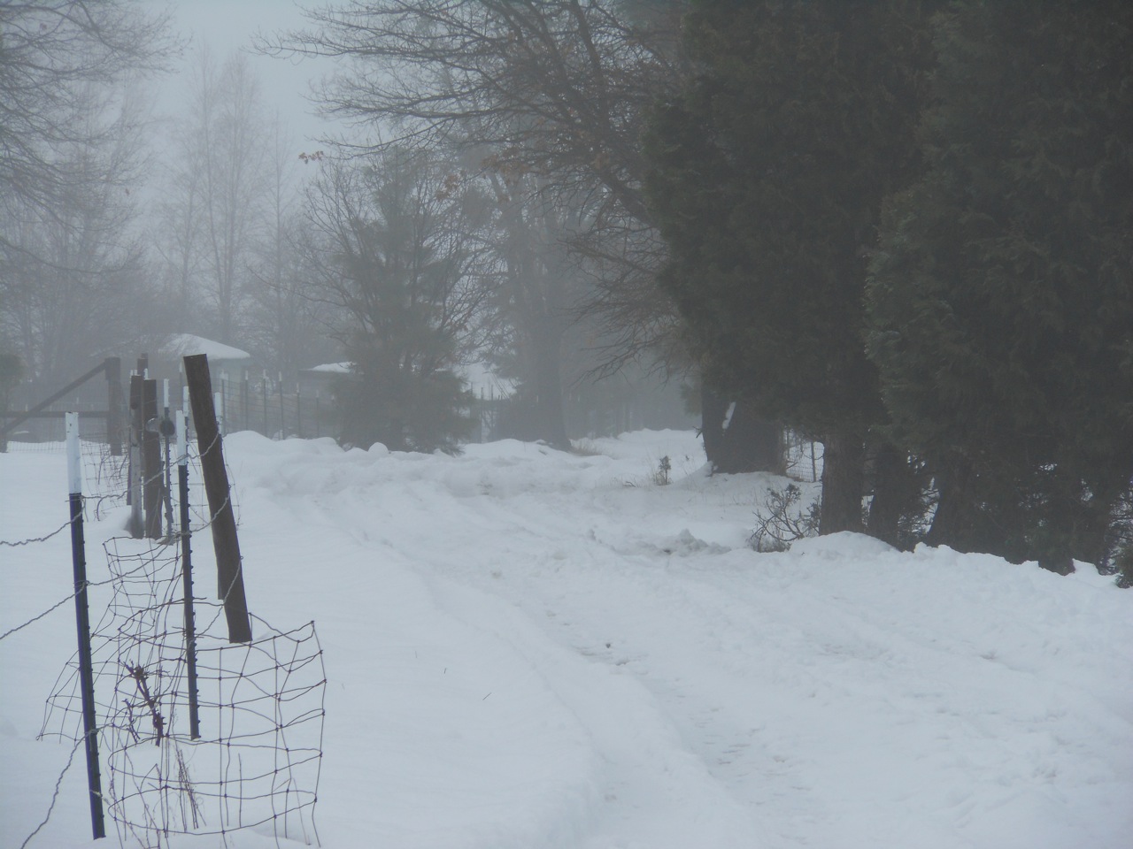 Our Lane