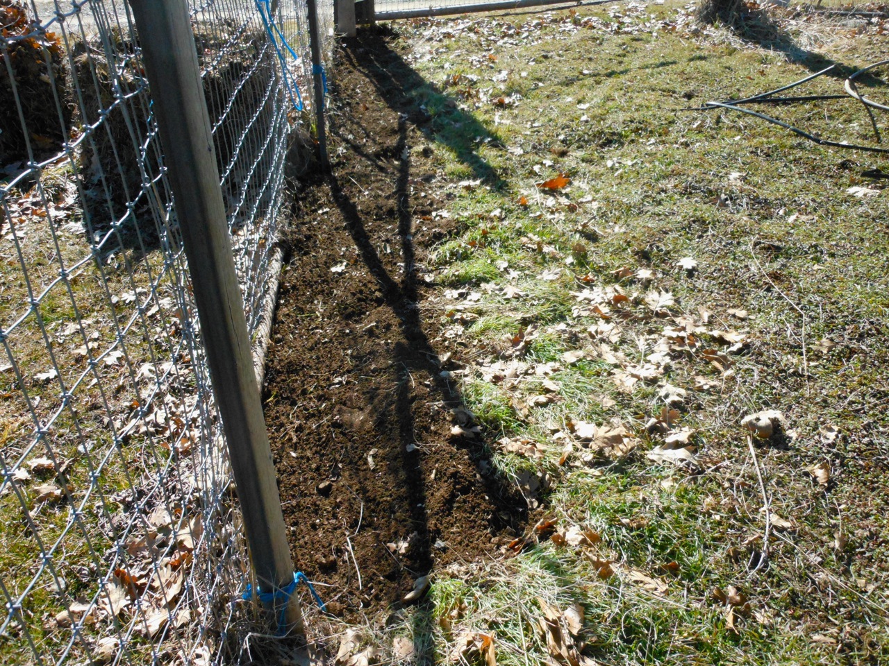 Garden2