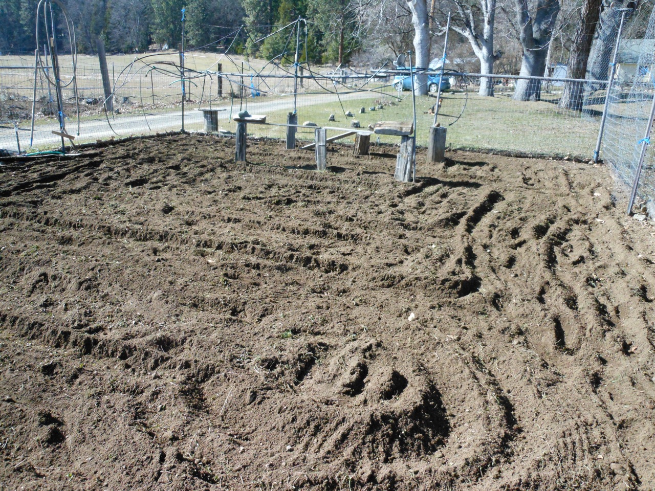 Garden5