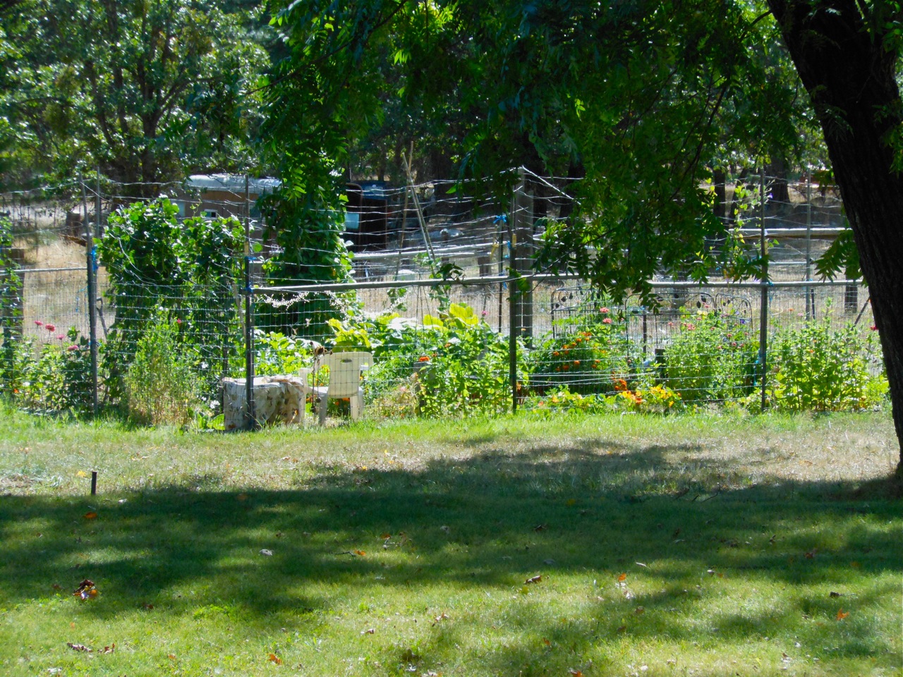 September Garden