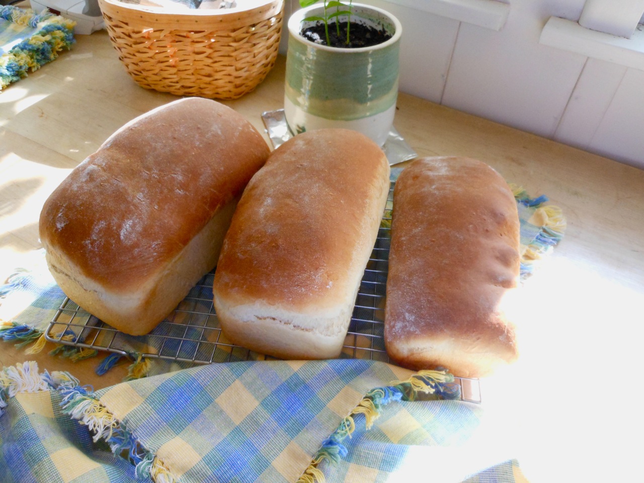 Three Loaves