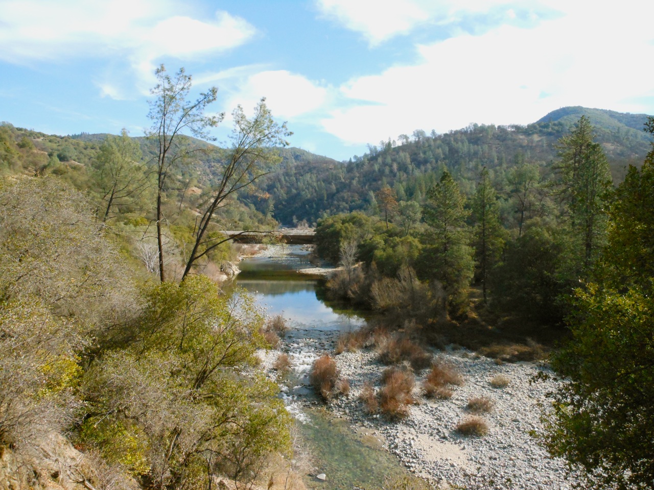 Yuba1