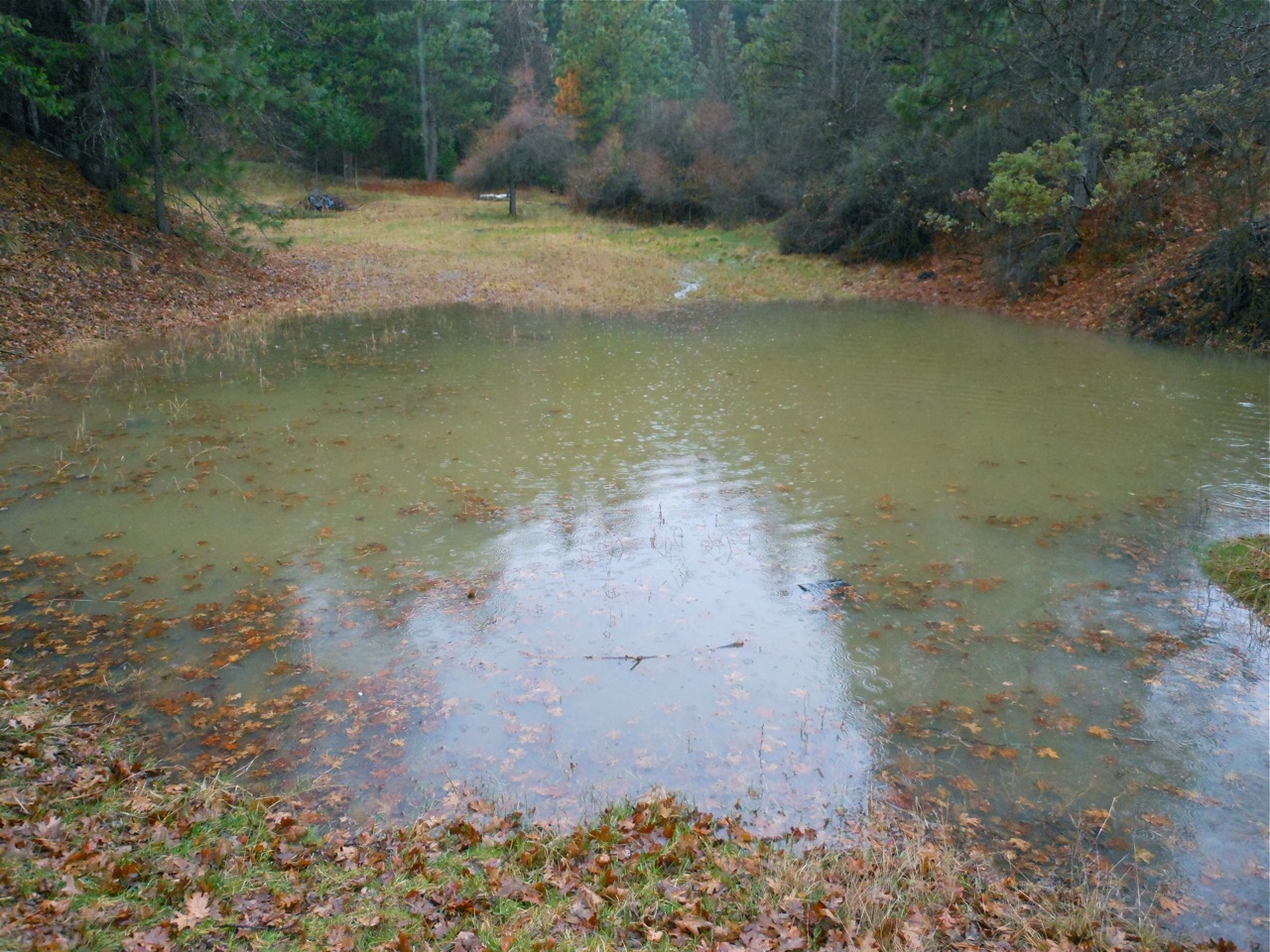 icepond1