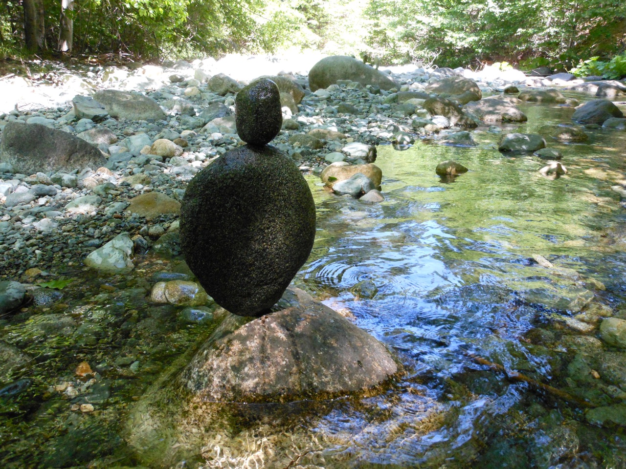DSCN3341