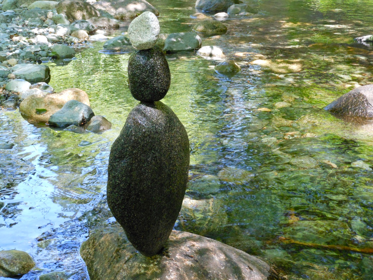 DSCN3353