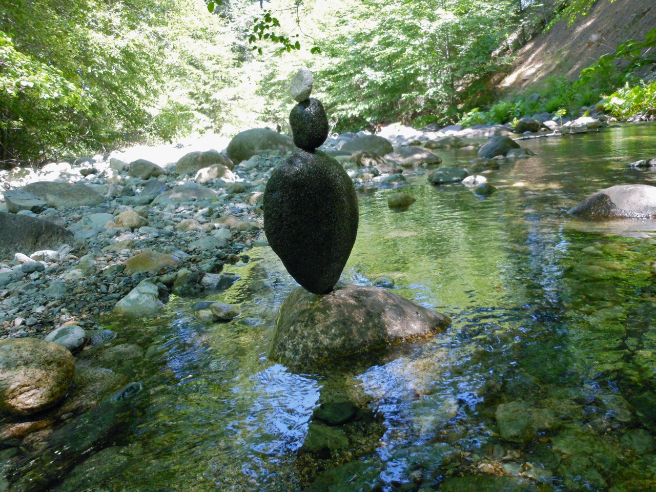 DSCN3355