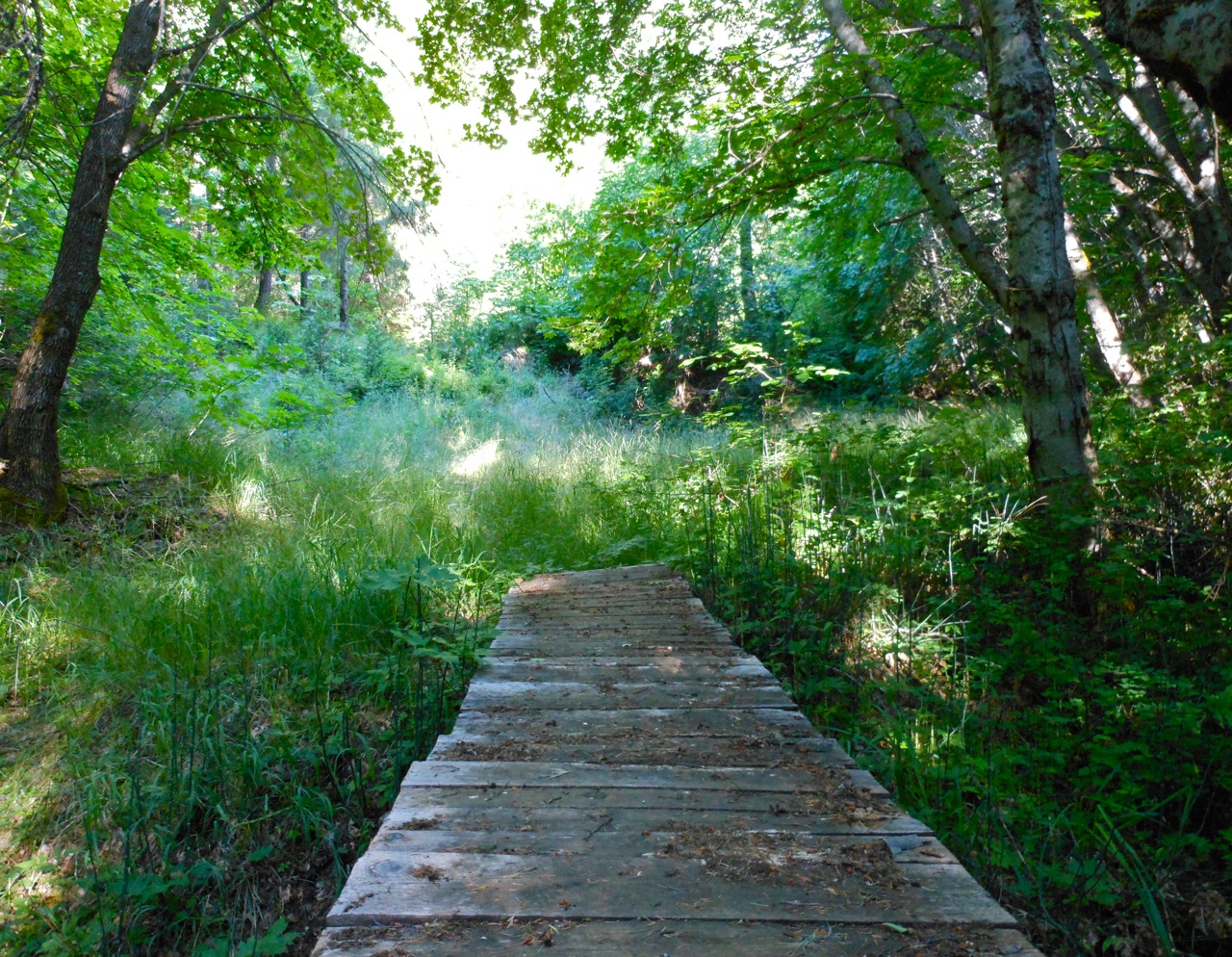 Footbridge