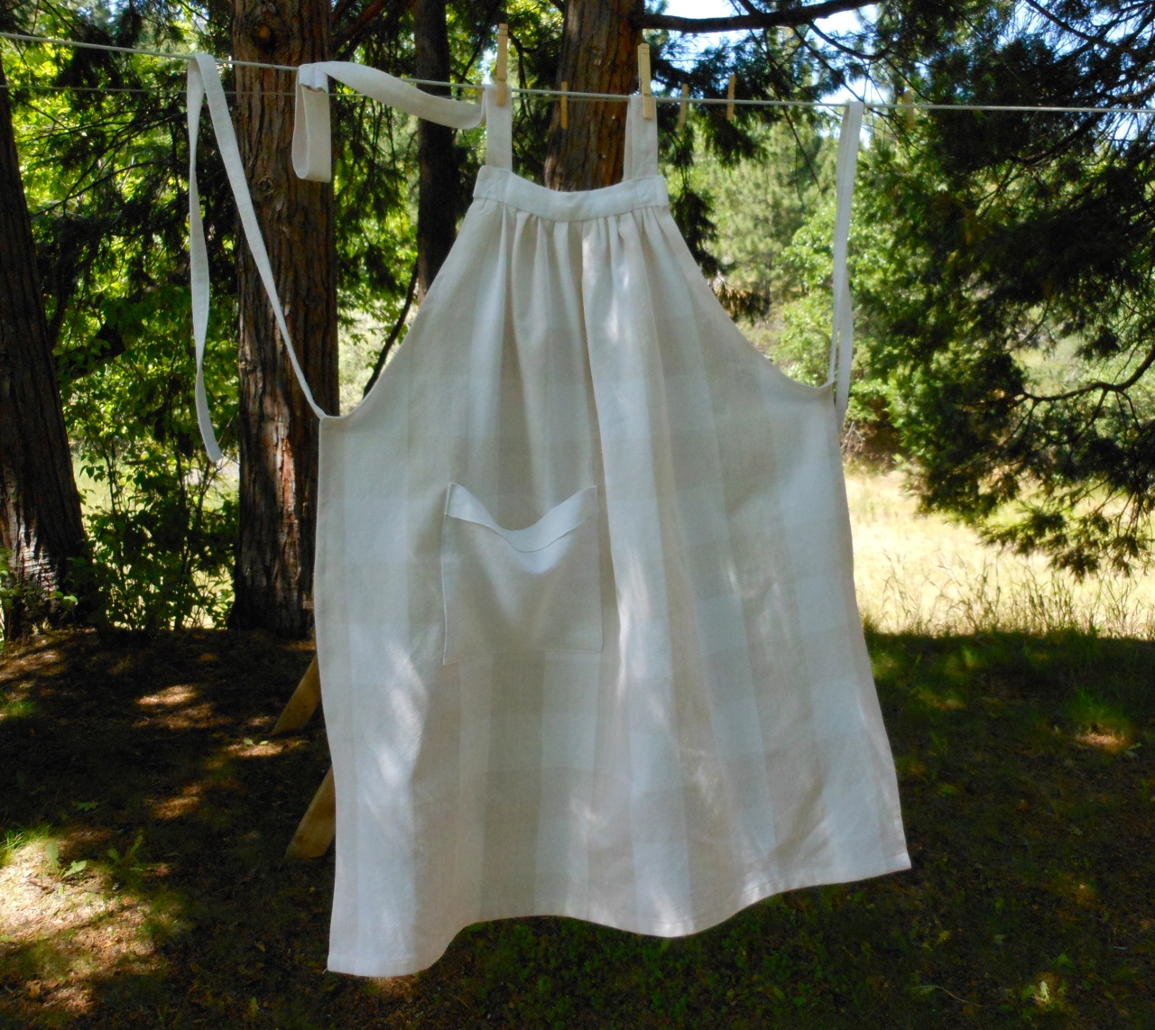 apron check