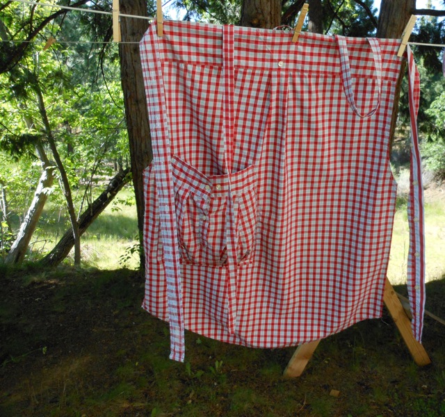 apron2