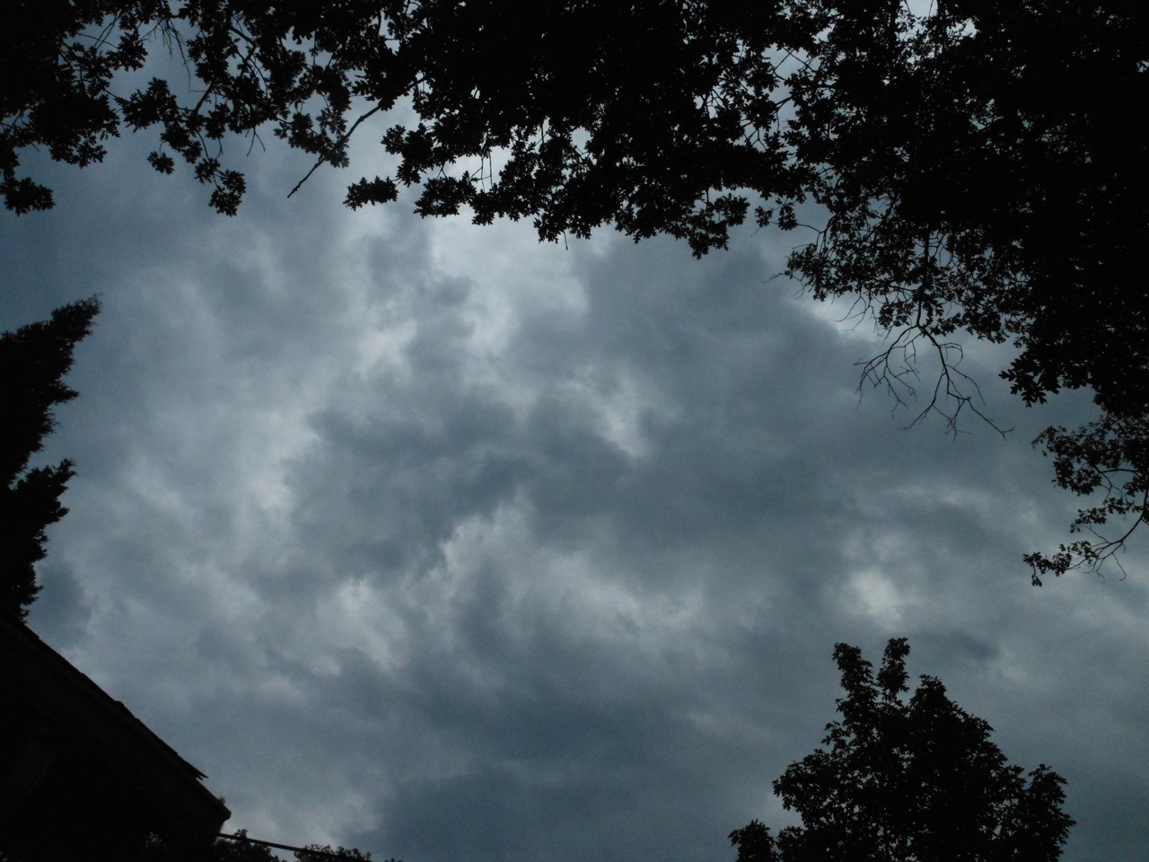 DSCN3522a