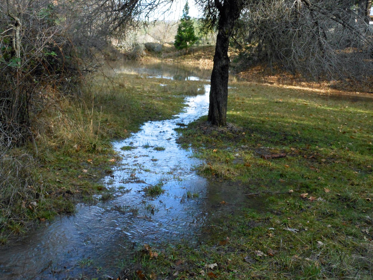Pond2