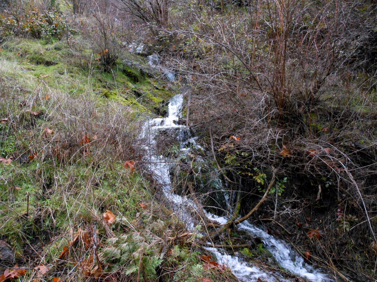 2015 Highcreek3