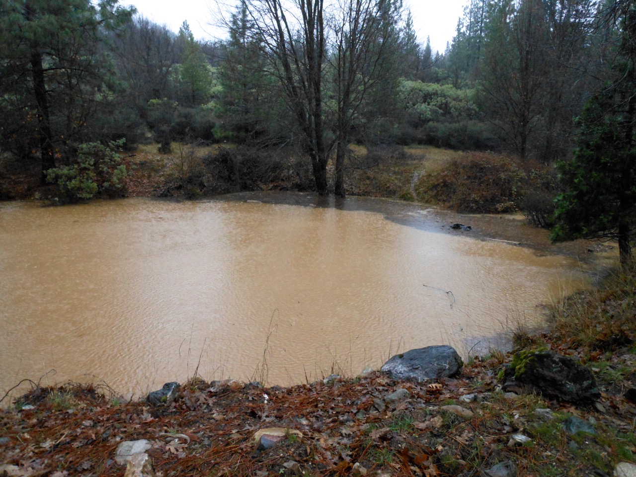 2015 rain5