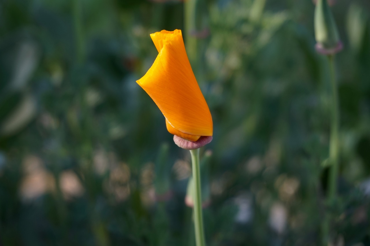 DSC03059