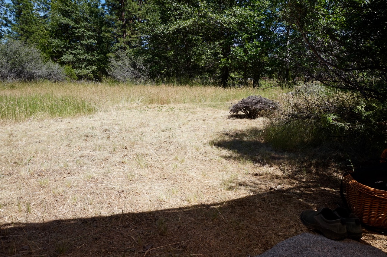 DSC03181