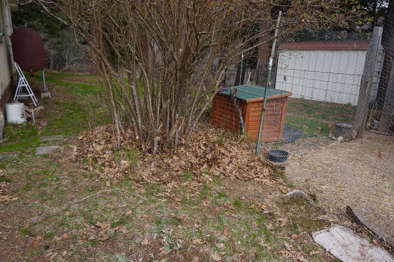 DSC04579
