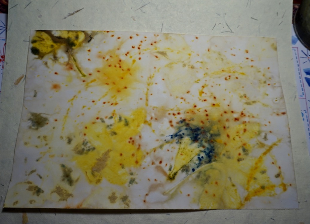 DSC05124