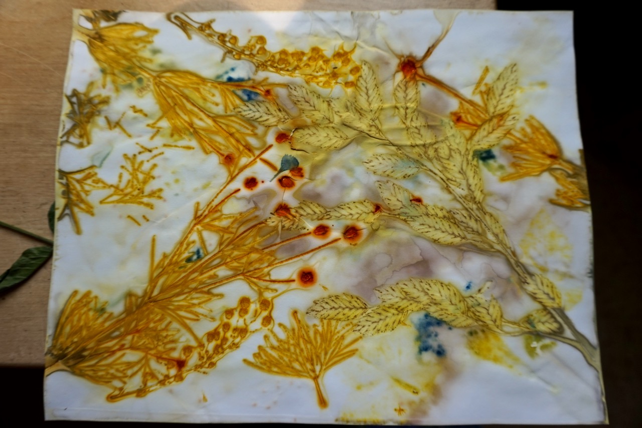 DSC05357