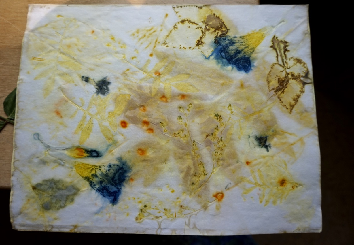 DSC05360