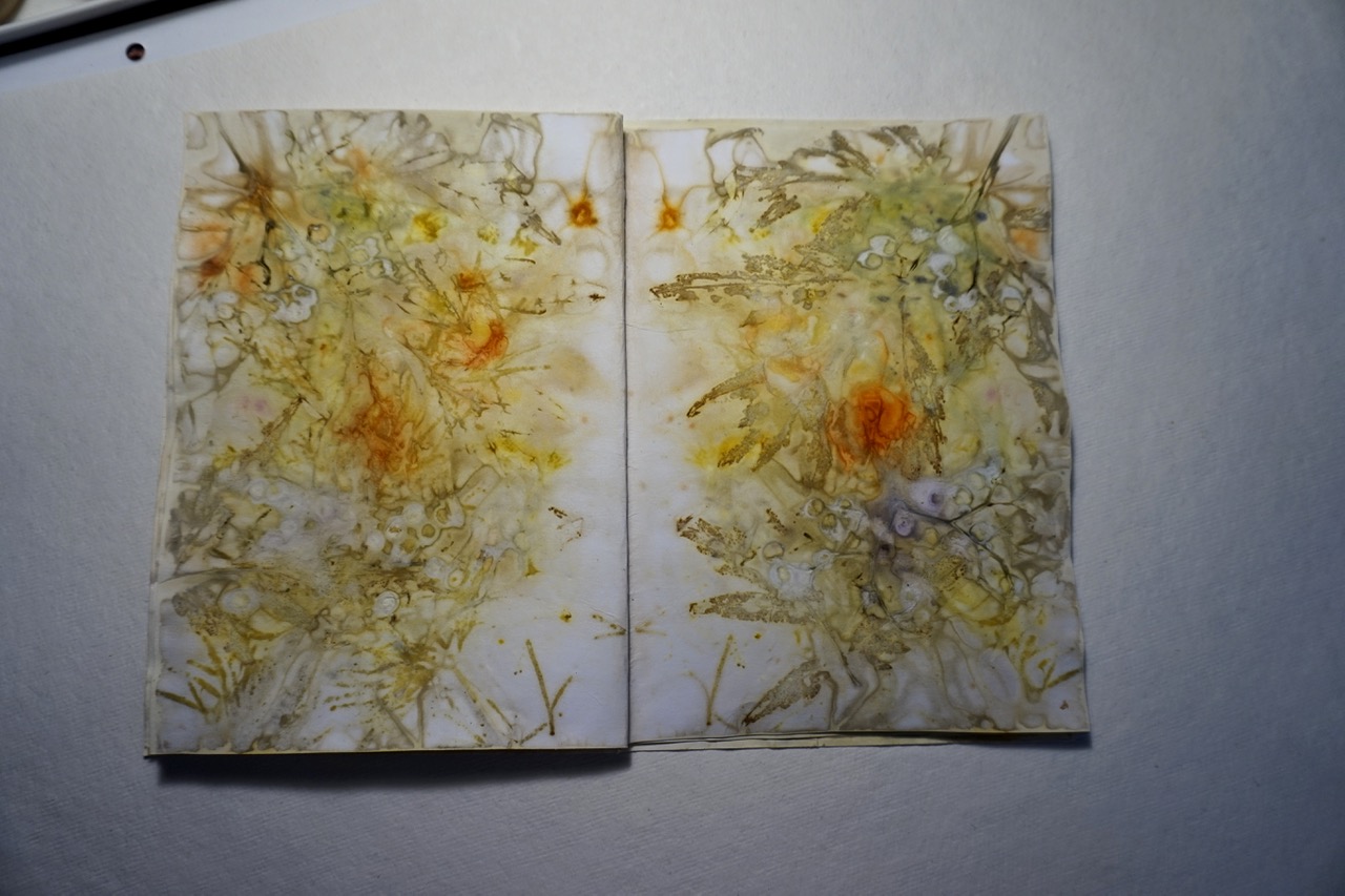 DSC05569