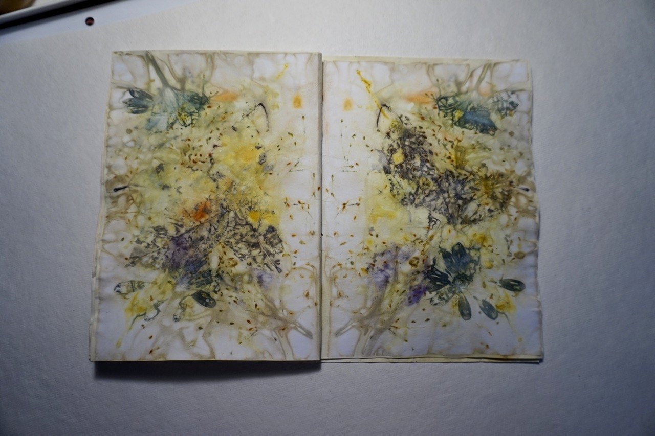 DSC05570
